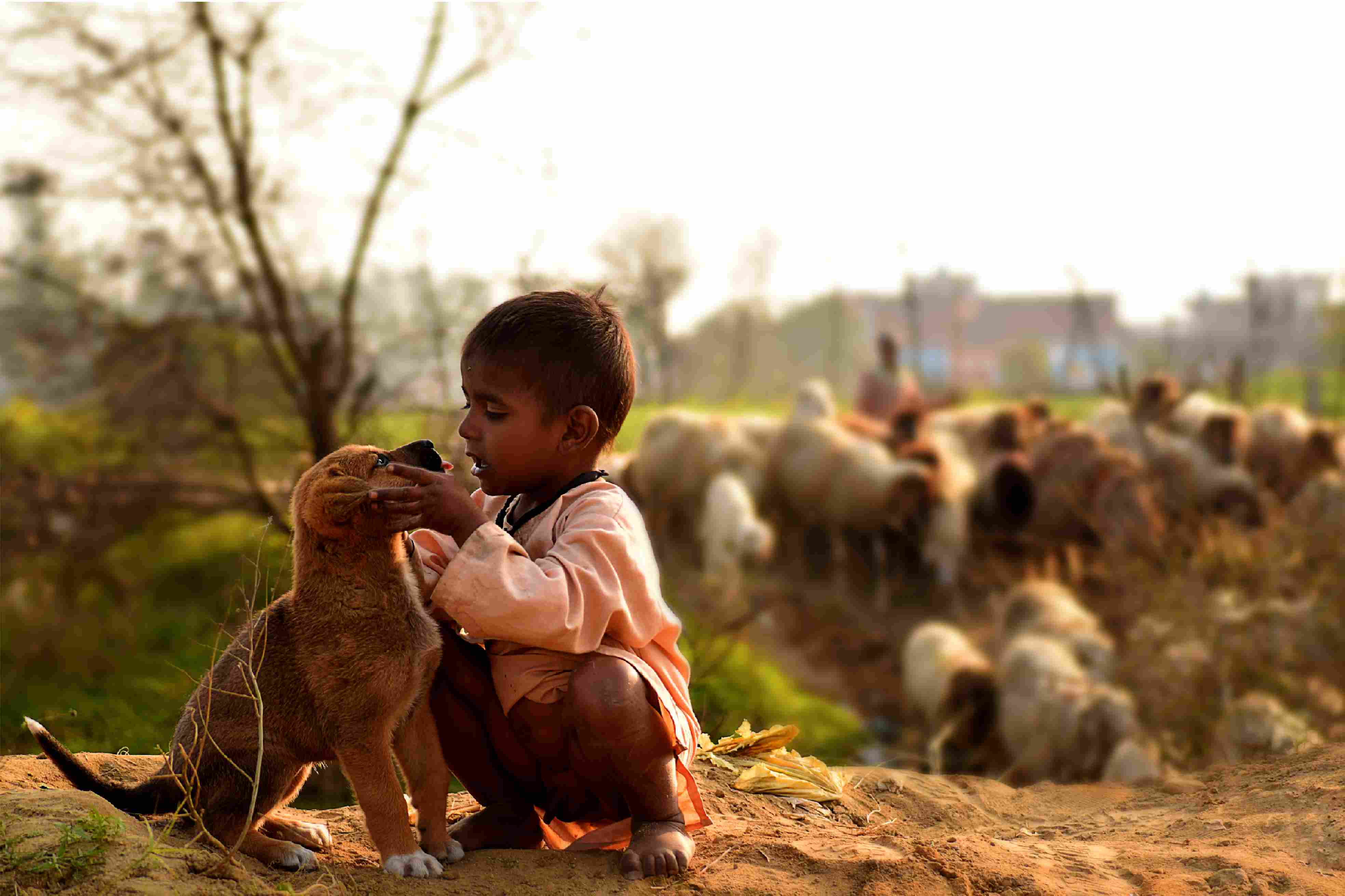 Photography by Surya Teja